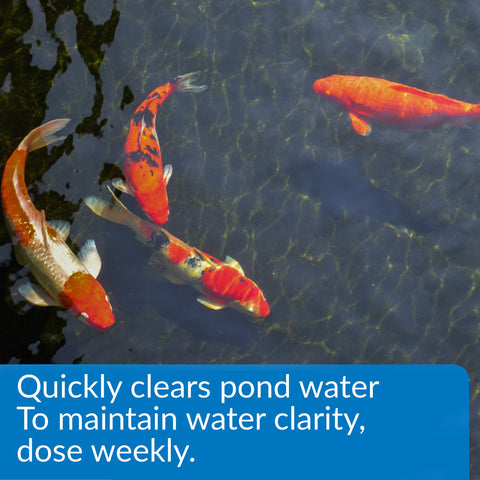 API POND ACCU-CLEAR clarified pond water glass shows improved visibility for filtration.
