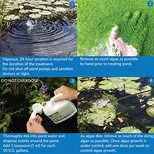 API POND ALGAEFIX requires proper aeration for effective dispersion.