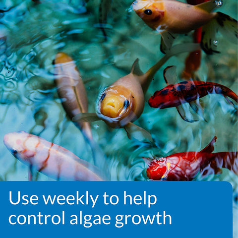 API POND ALGAEFIX bottle label close-up showing copper-free, safe formula for fish and plants