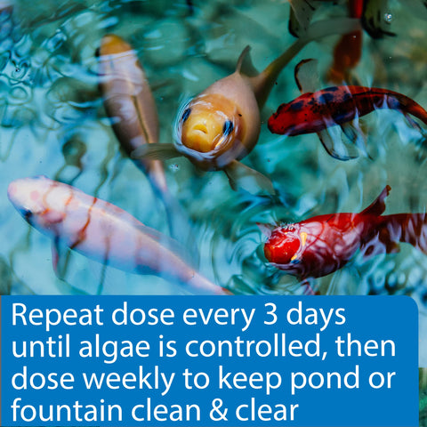 API POND ALGAEFIX packaging on bottle, easy to identify and purchase.