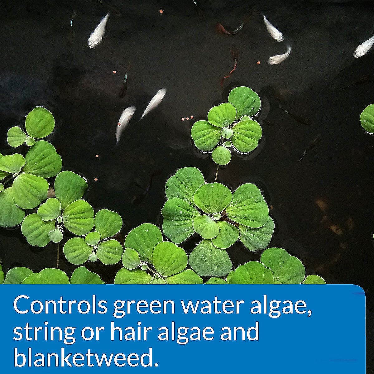 API POND ALGAEFIX pond application shows algae control for outdoor ponds.