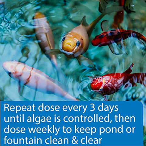 API POND ALGAEFIX applied around a pond fountain for algae management.