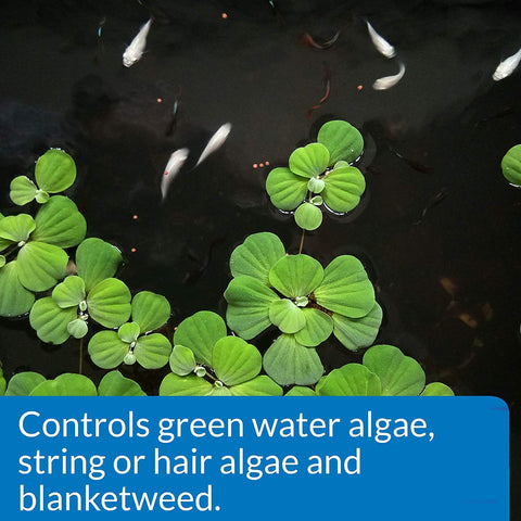API POND ALGAEFIX in pond water improving clarity by reducing algae