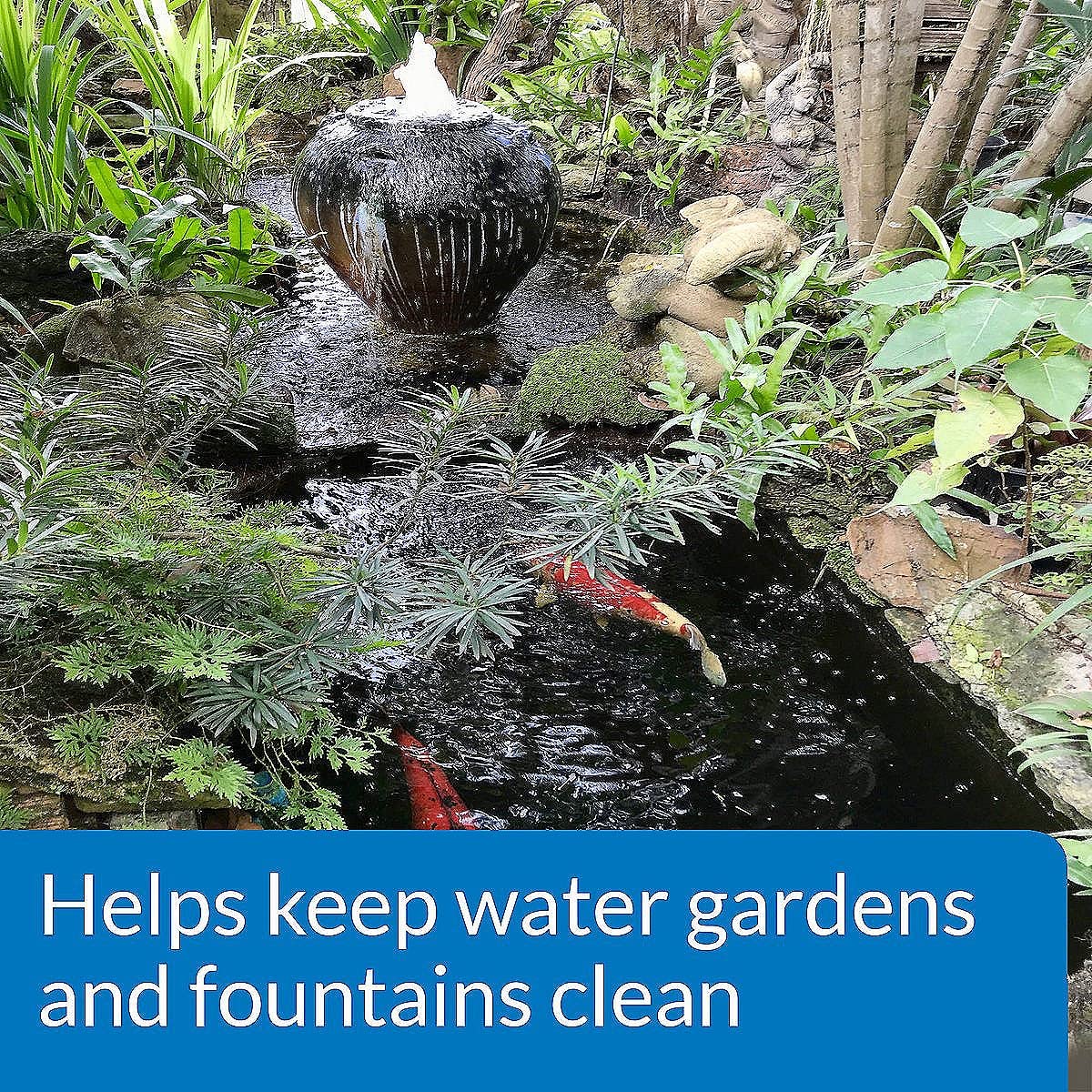 API POND ALGAEFIX is safe for fish and aquatic plants when used as directed.