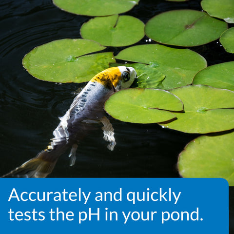 API color card shows pH results at a glance