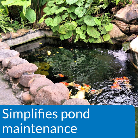 Pouring API POND ECOFIX bottle demonstrates quick dosing for seasonal cleanup.