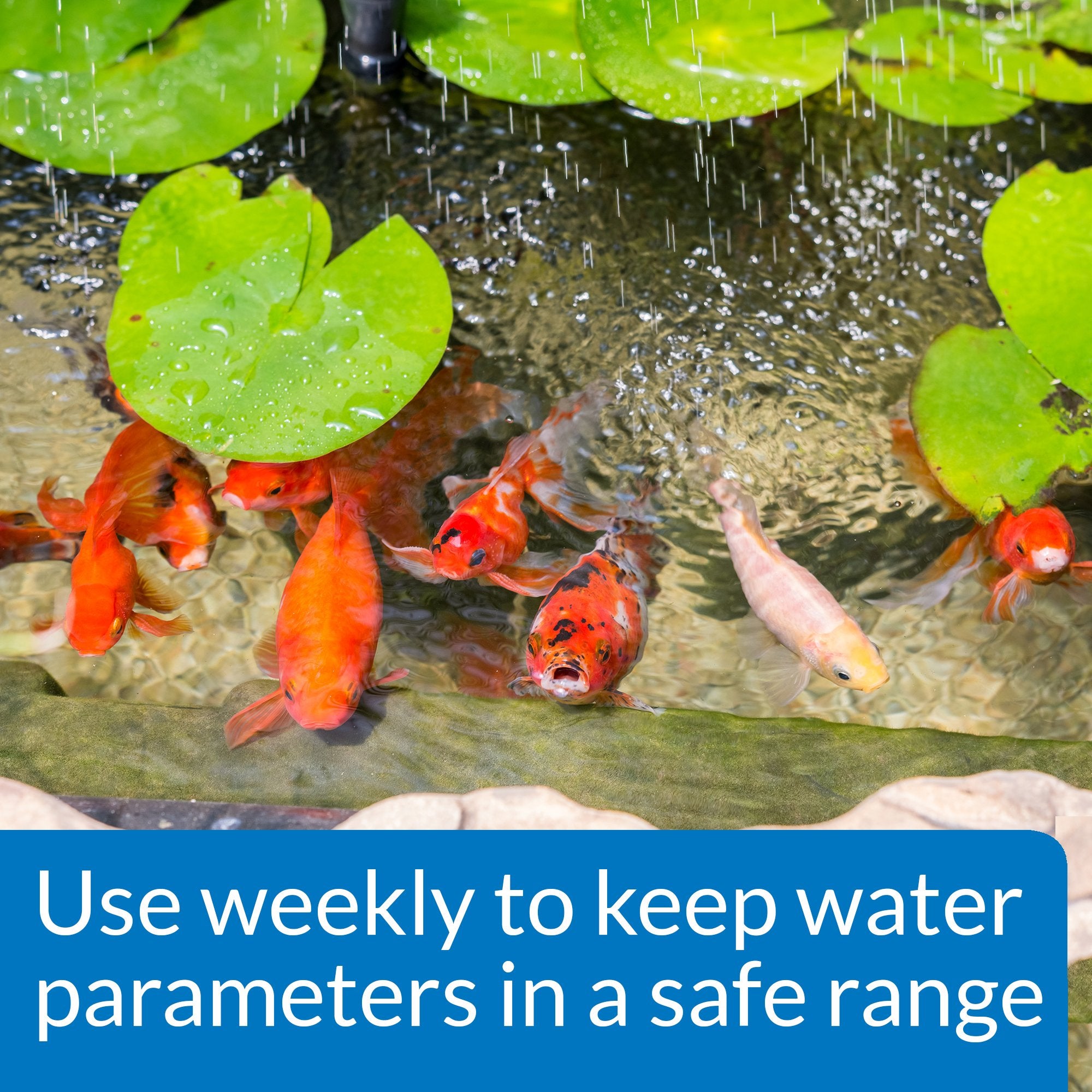 API Pond Master Test Kit instruction booklet guides a simple testing routine.