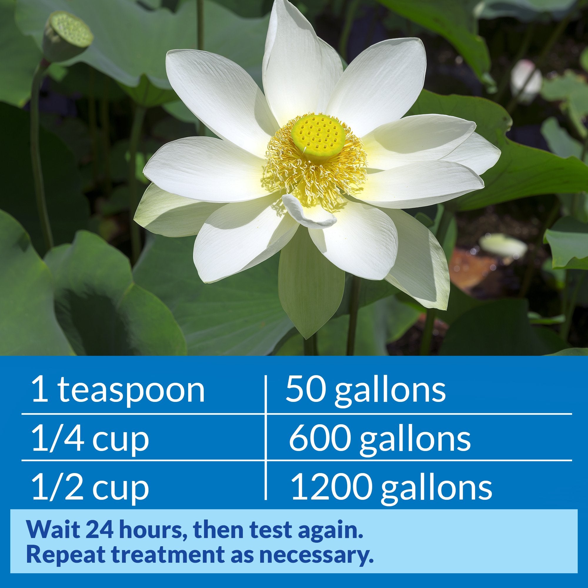 Closeup of API POND pH DOWN bottle label with dosing guidance