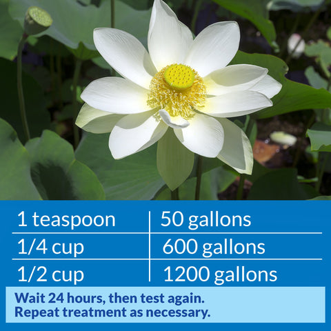 Closeup of API POND pH DOWN bottle label with dosing guidance