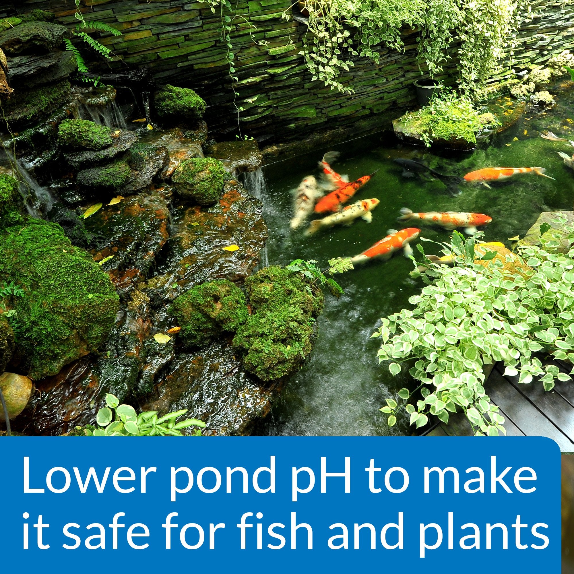 API POND pH DOWN bottle with measuring cap for precise dosing
