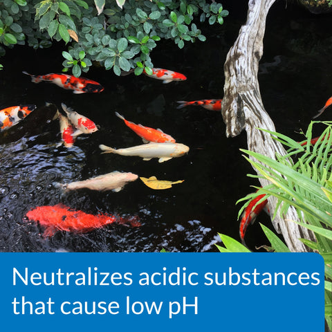 API POND pH UP bottle label highlights phosphate-free formula for pond water