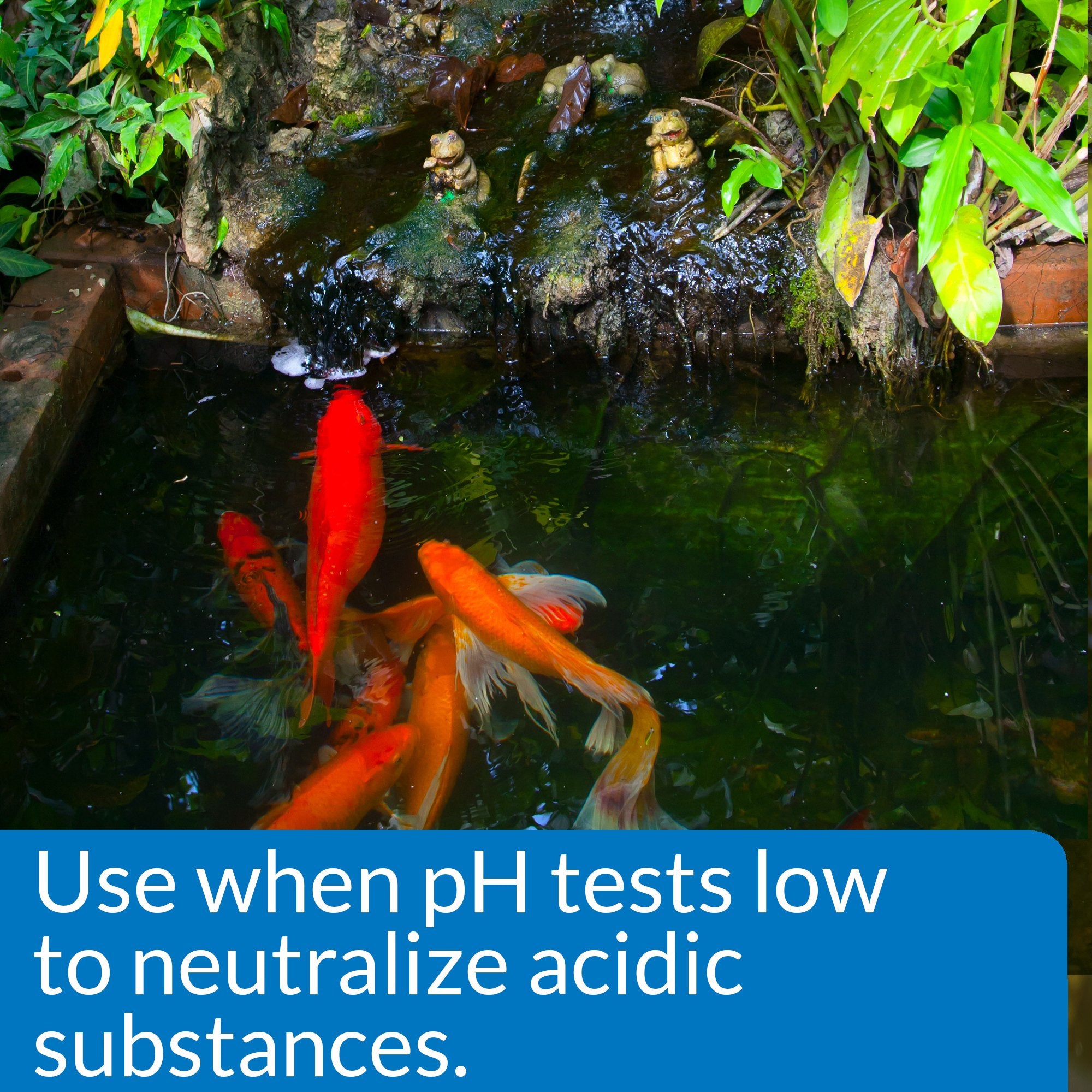API POND pH UP bottle pour close-up showing gradual pH adjustment for fish