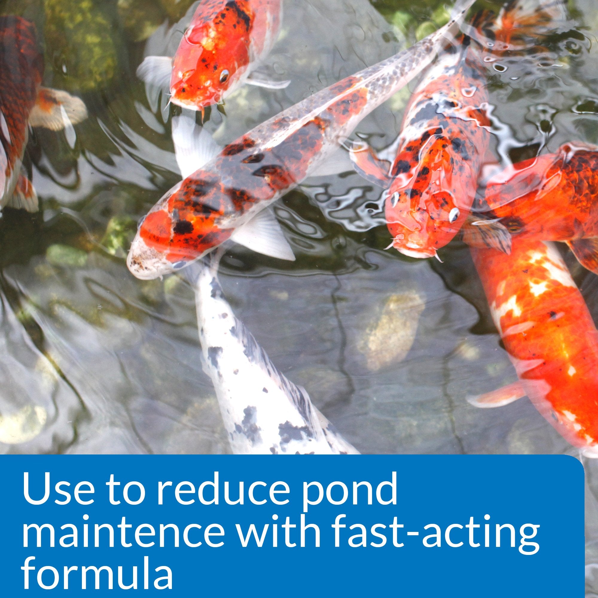 Close-up of pouring action with API Pond Simply Clear