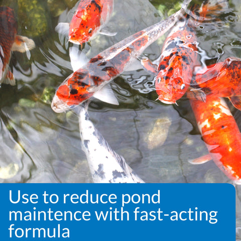 Close-up of pouring action with API Pond Simply Clear