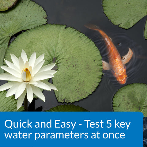API POND stay-dry tube protects strips from moisture