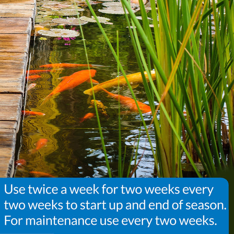 API Pond-Zyme leaves and grass debris digestion improves pond cleanliness