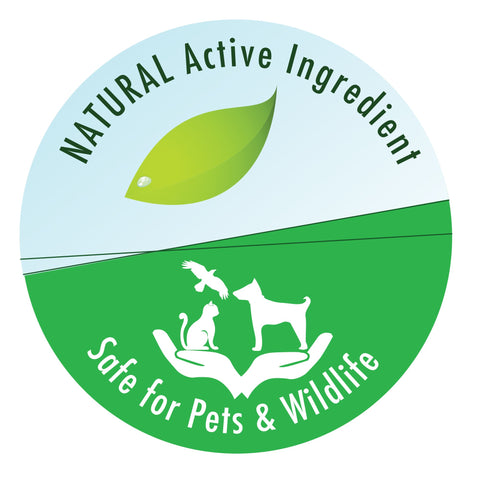 API Pond-Zyme promotes clearer pond water through beneficial bacteria
