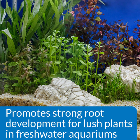 API ROOT TABS supports new plant starts and ongoing growth
