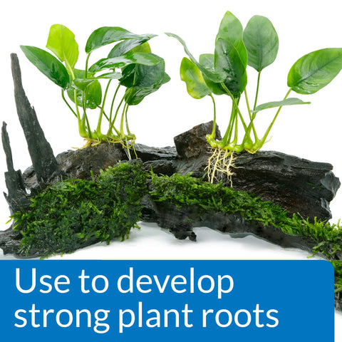 API ROOT TABS tablets in gravel bed provide steady nutrients