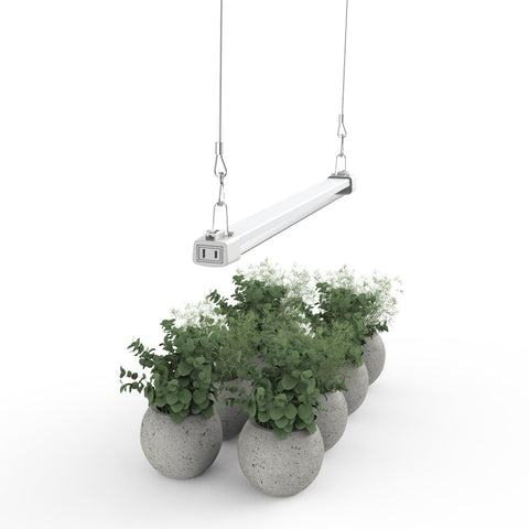 APICDOM LED Grow Light 2ft full spectrum overview supports year-round seedlings