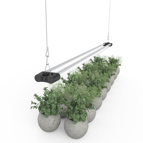 APICDOM LED grow light 660nm red boost for improved sprouting and flowering.