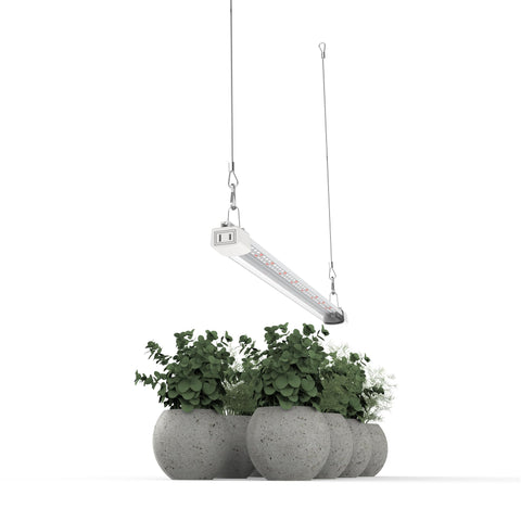 APICDOM LED Grow Light slim compact design fits tight spaces for shelves
