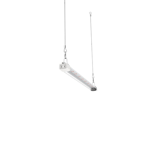 APICDOM LED Grow Light energy-efficient 16W saves power