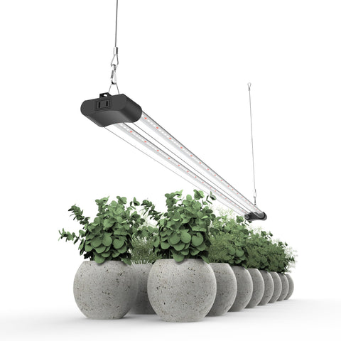 APICDOM LED grow light full spectrum 5000K daylight for vibrant plant growth.