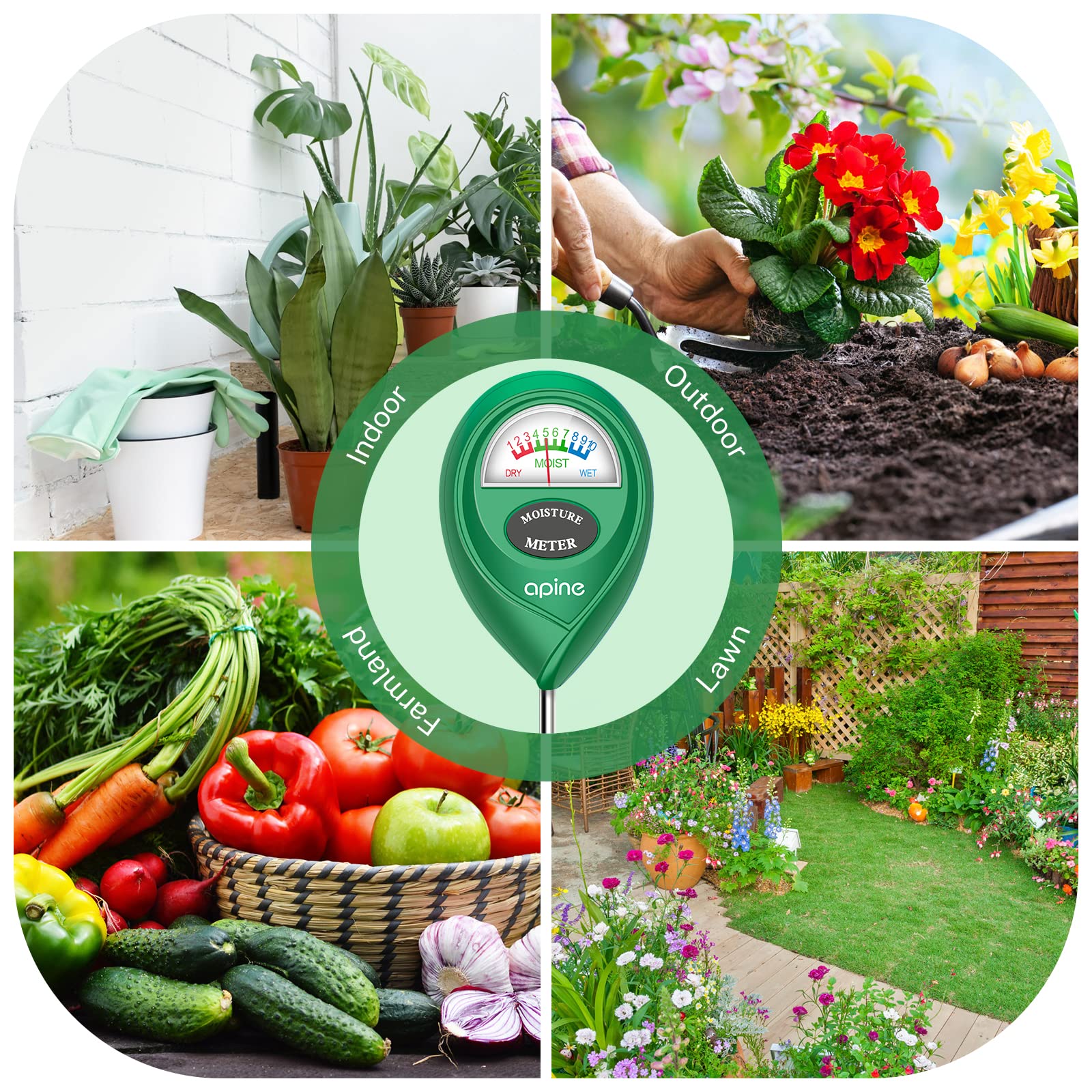 Apine easy-read dial lets you decide watering quickly.