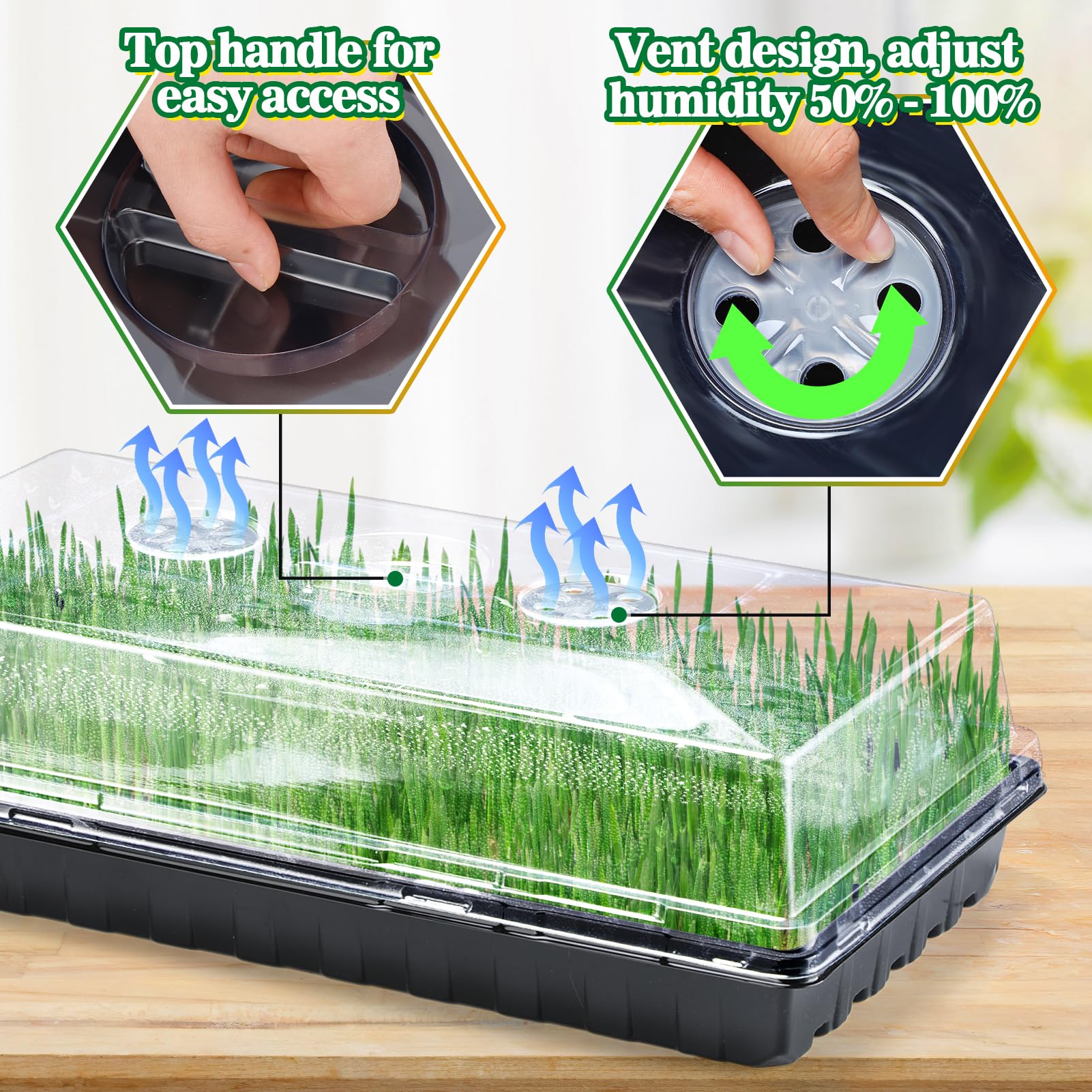Apipi 4-inch height dome provides space for growing roots and shoots.