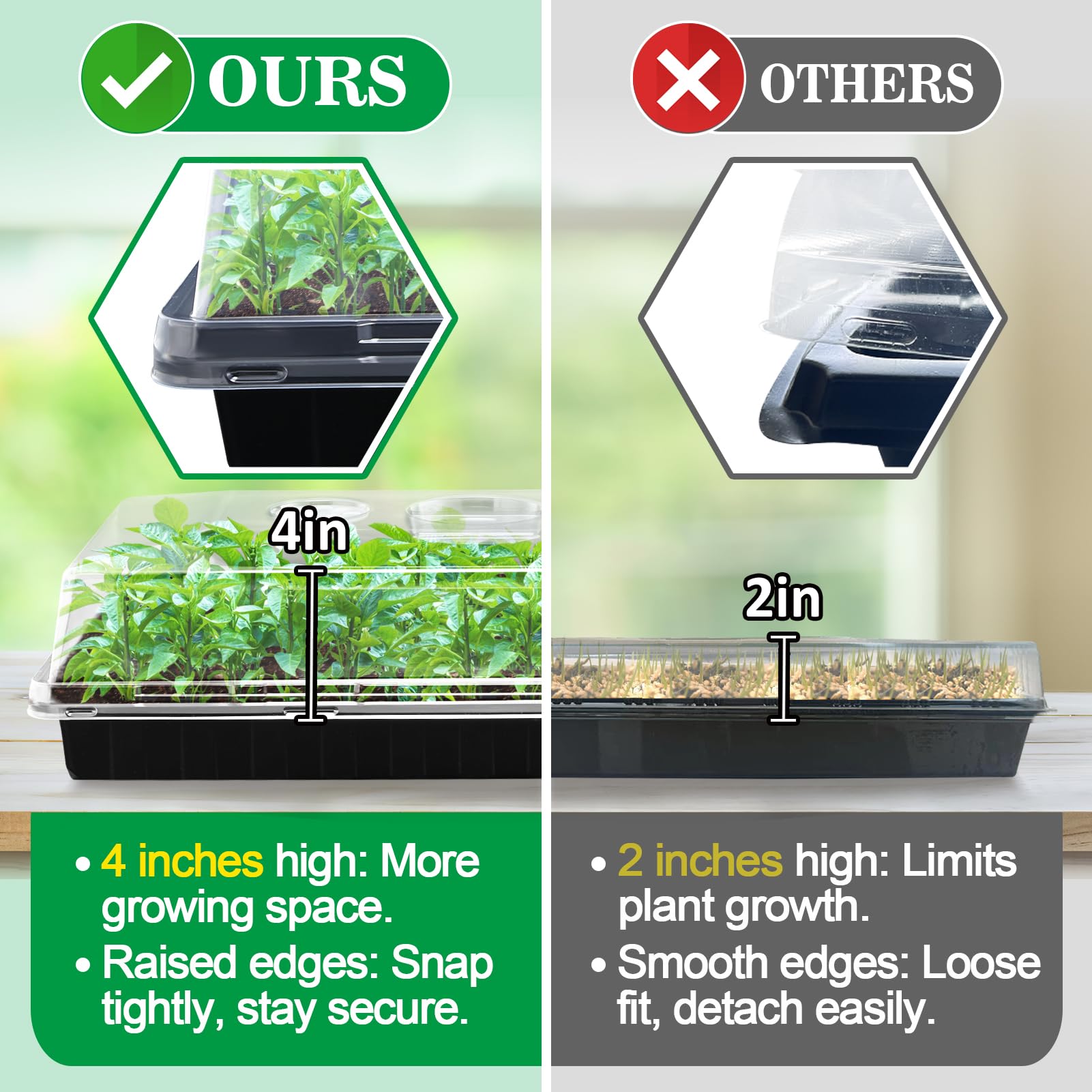 Apipi humidity dome fits standard 10x20 seed trays for efficient germination.