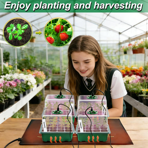 Apipi tools and labels included for quick seedling organization