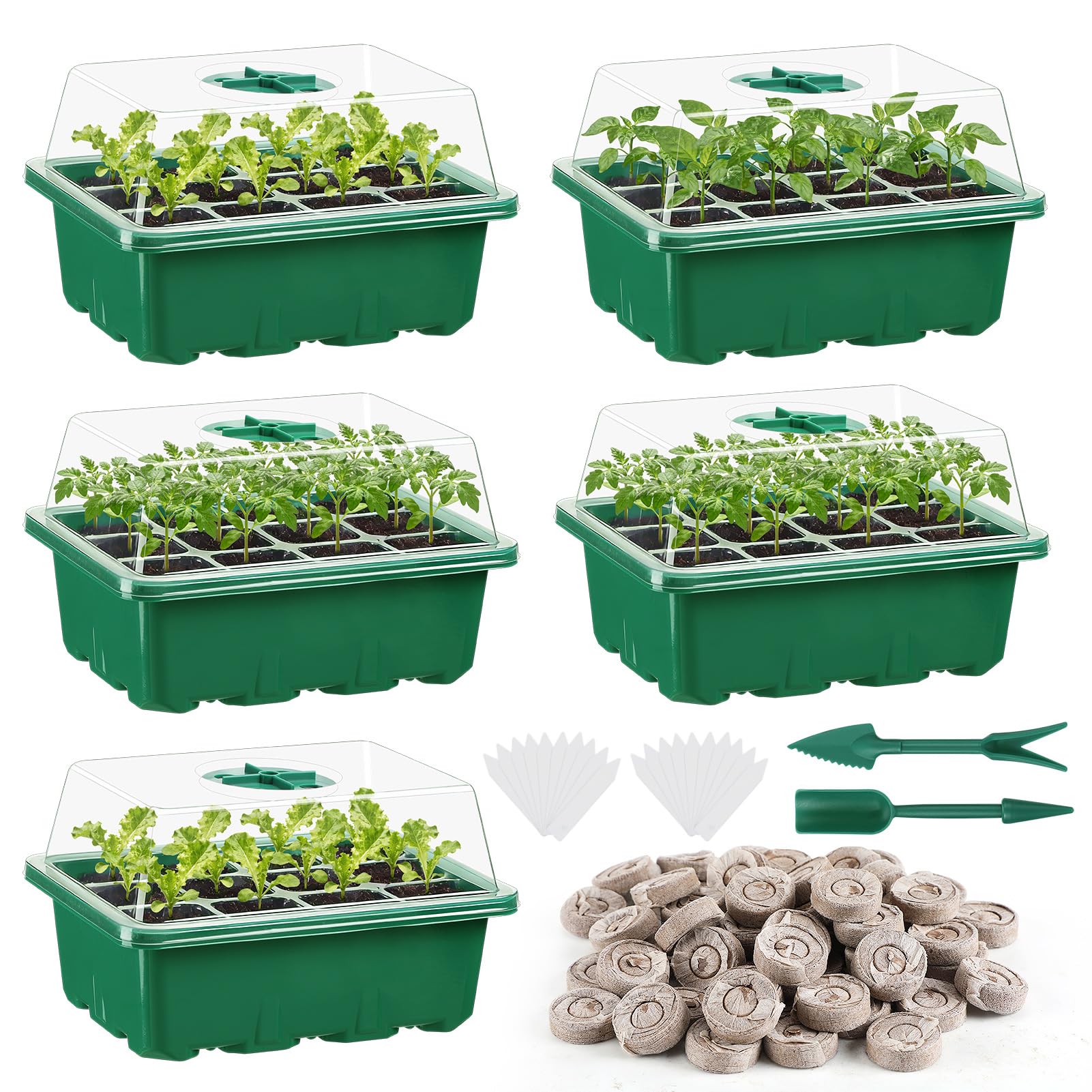 Apipi seed starter kit with 60-cell trays for organized indoor germination.