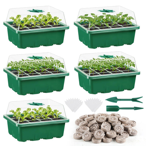 Apipi seed starter kit with 60-cell trays for organized indoor germination.