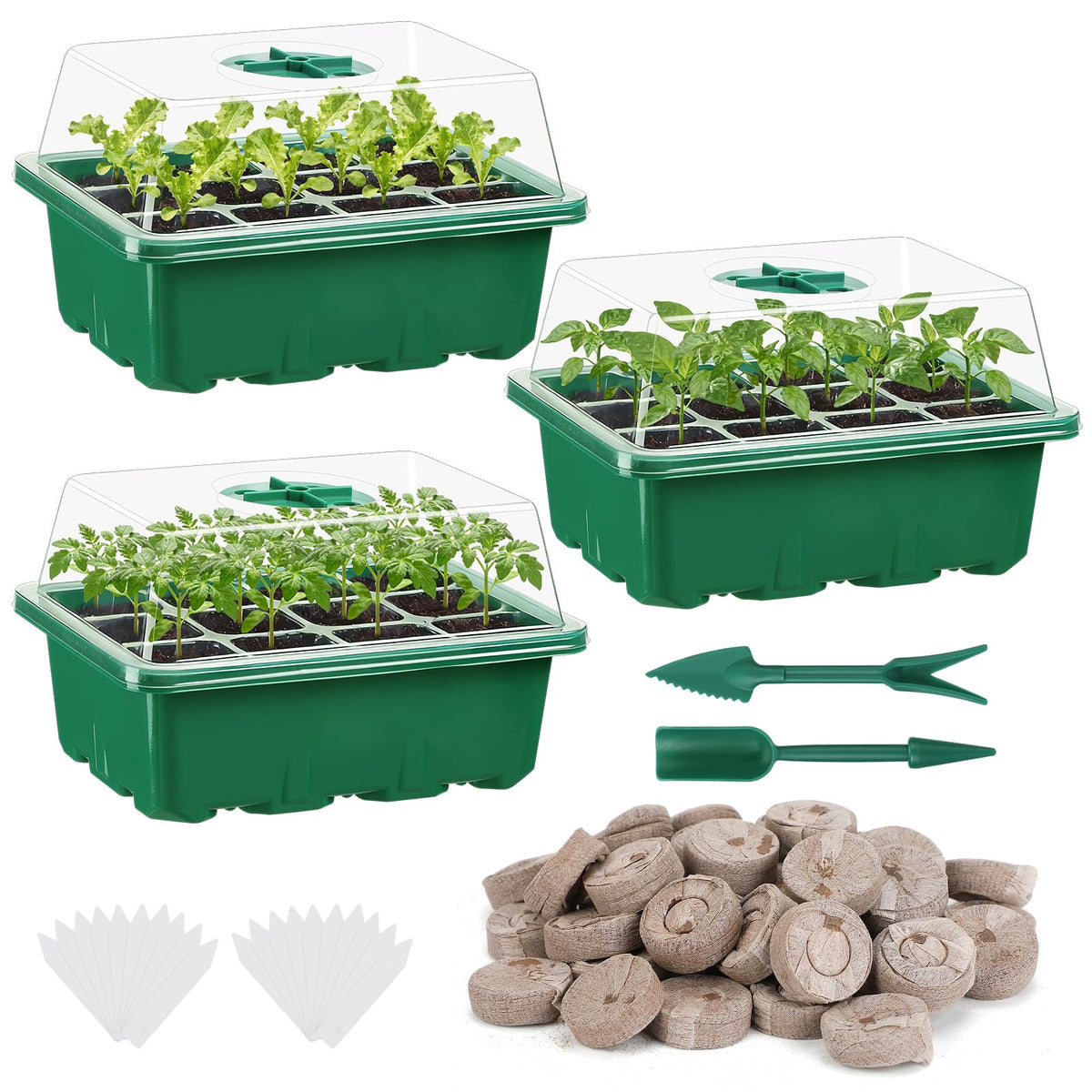 Apipi seed starter kit all-in-one setup for easy indoor germination