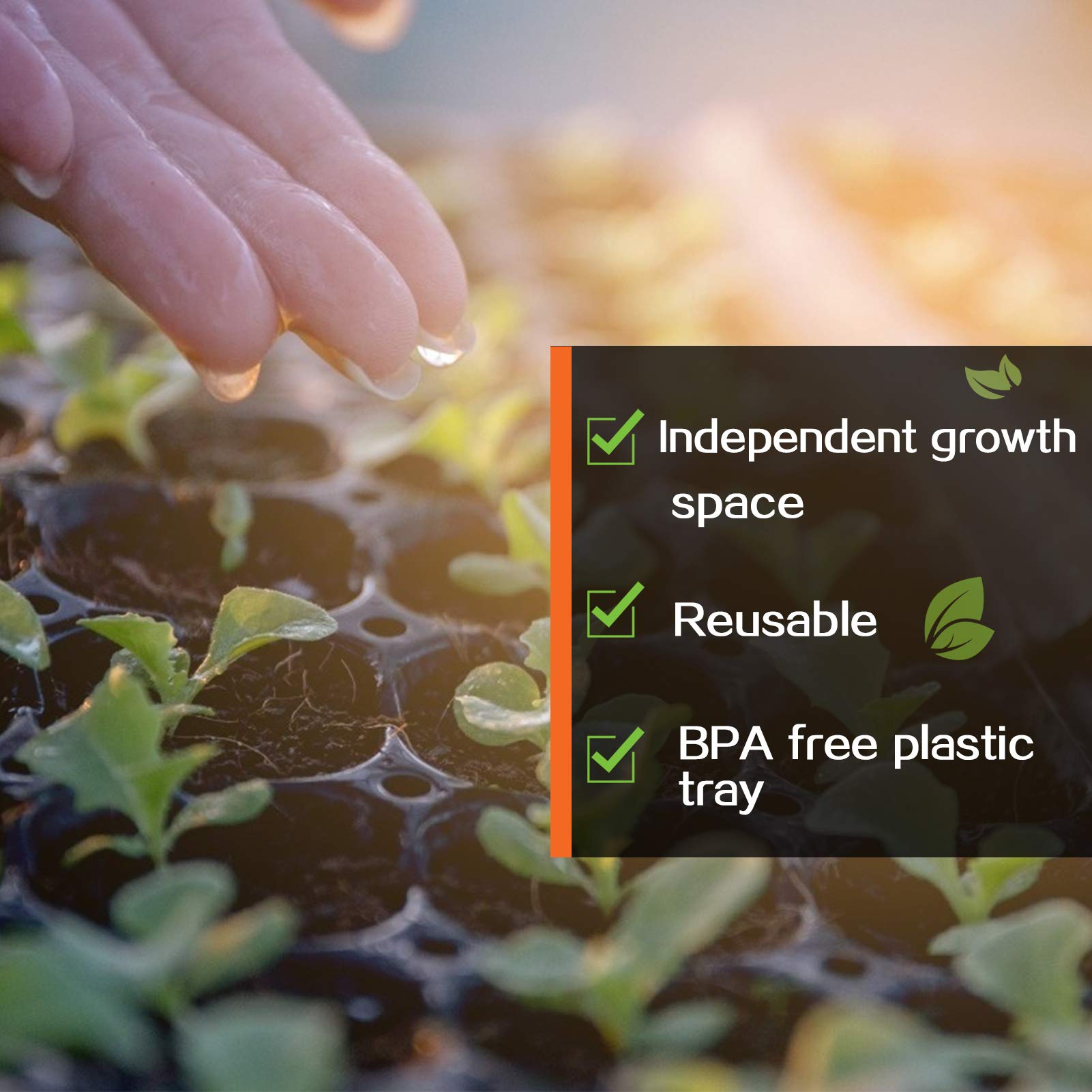 Each cell in the Apipi tray is 1.5 inches for small plant starters.