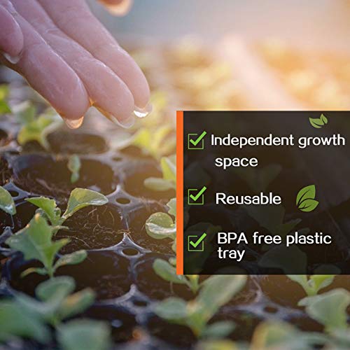 Apipi seed starter tray 38mm cell size designed for versatile early plant starts.