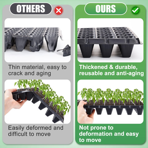 Bottom drain holes on the Apipi tray support healthy root aeration.
