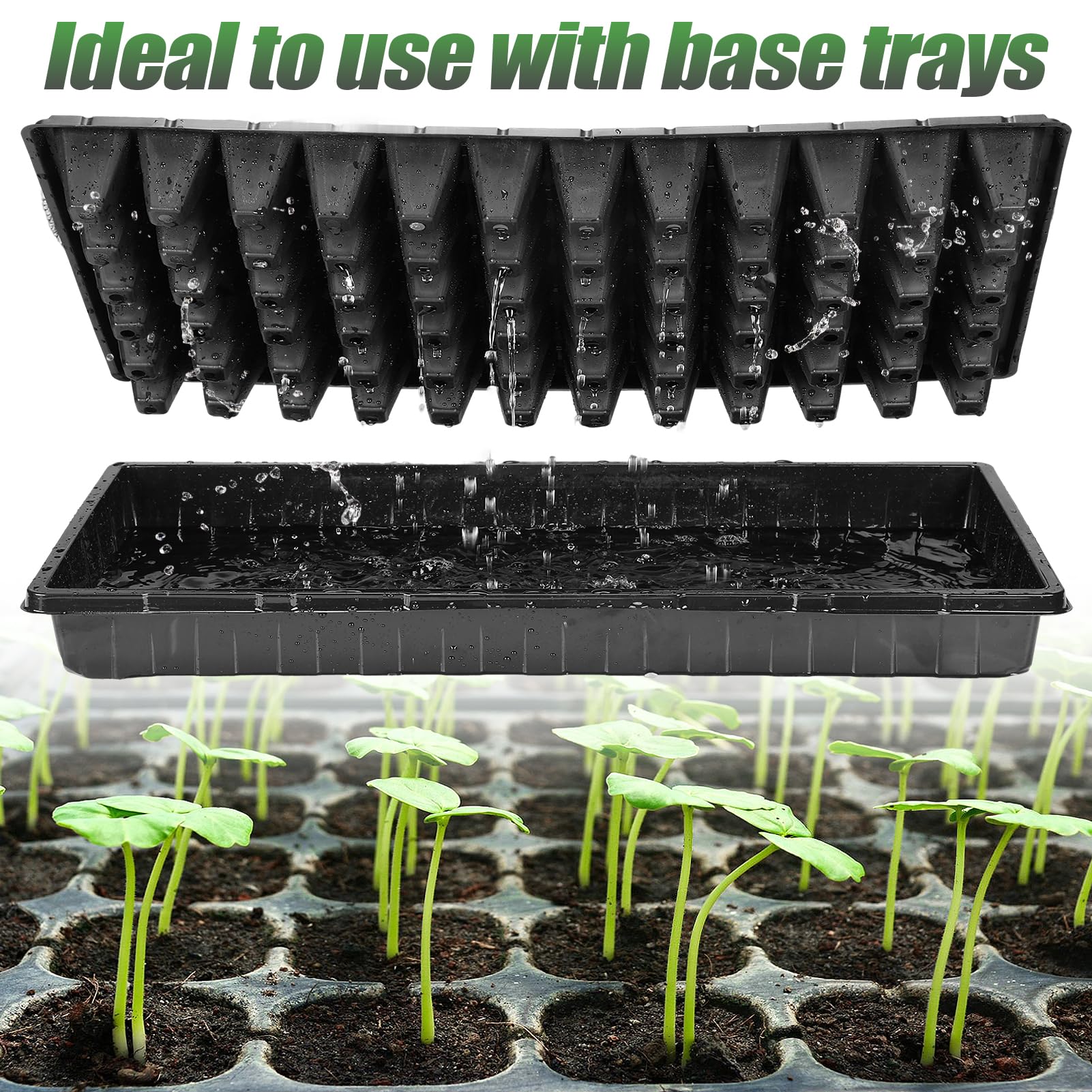 Thick plastic construction of Apipi starter tray for reliable, reusable seed starting.