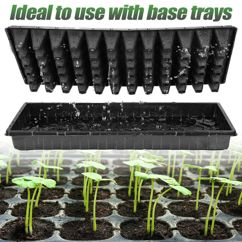 Thick plastic construction of Apipi starter tray for reliable, reusable seed starting.