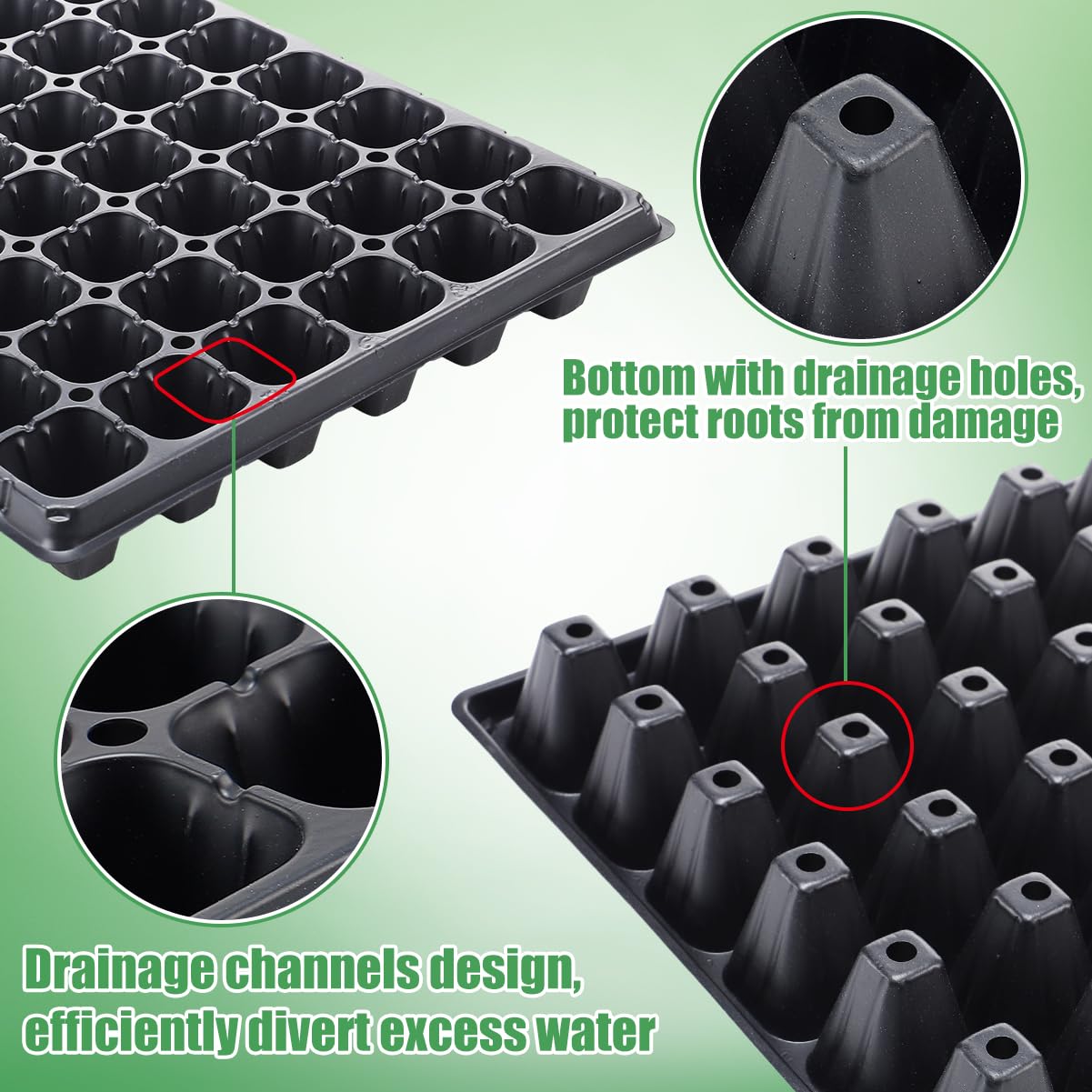 Independent growth spaces in the Apipi tray prevent tangled roots during propagation.