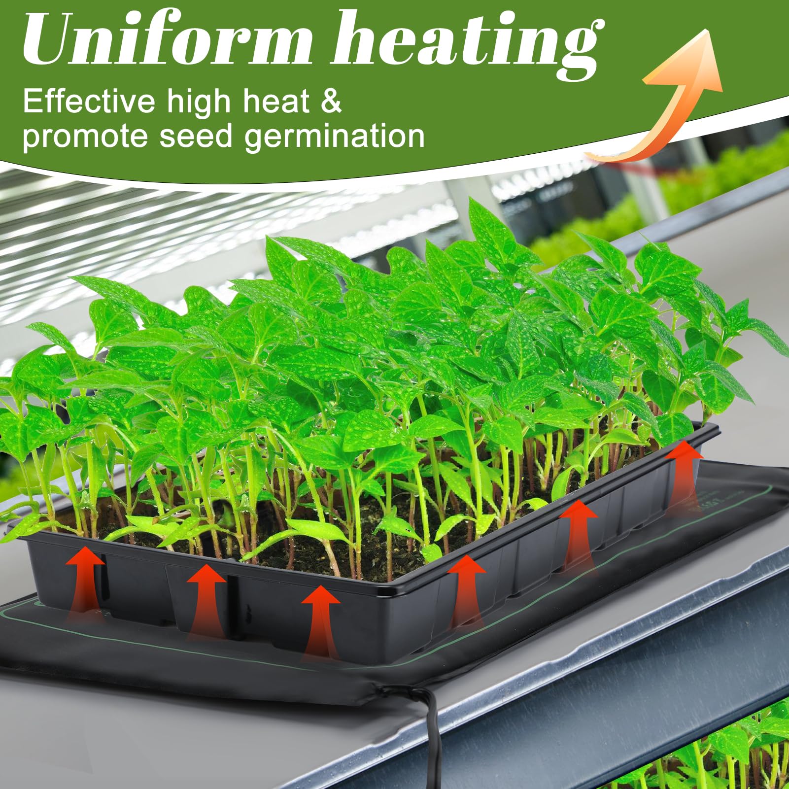 Apipi waterproof outer layer protects the heat mat during setup and cleaning