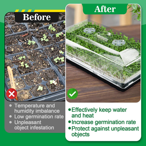 Apipi thick plastic dome designed for durable, long-lasting seed starting.