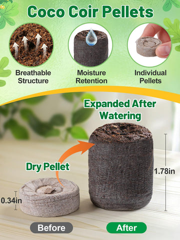 Apipi transplanting tools help lift seedlings without damage to roots.