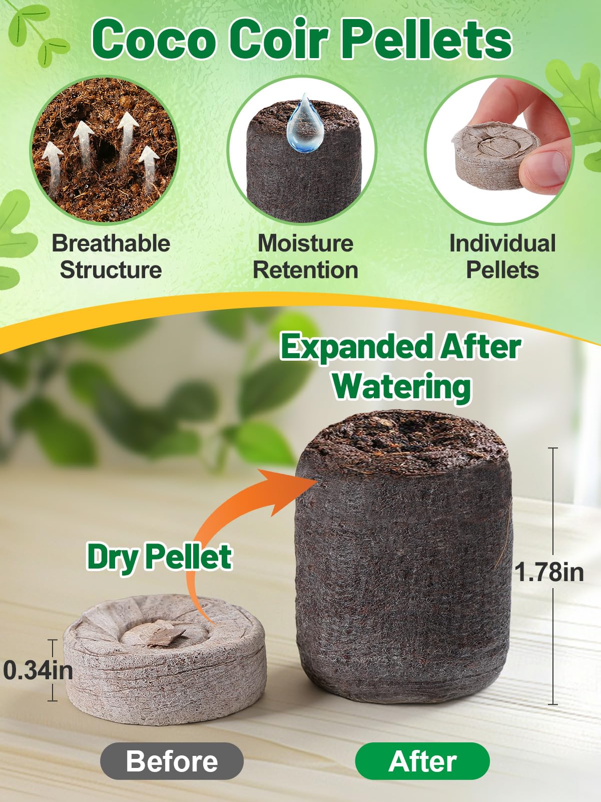 Apipi vented lid and drainage reduces overwatering risks for healthy roots