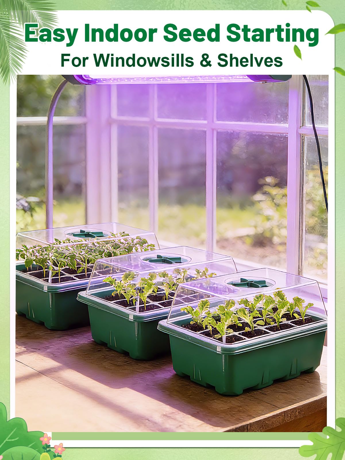 Apipi ventilation lids provide airflow control to prevent dampness.