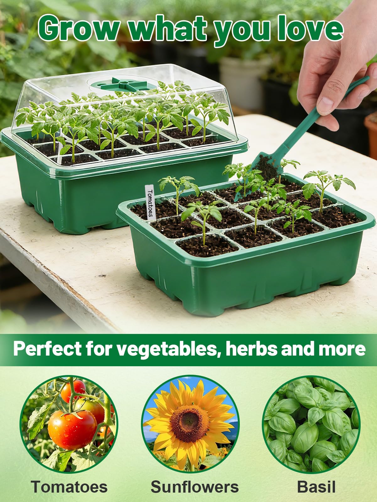 Apipi windowsill seed-starting setup ready for early planting success