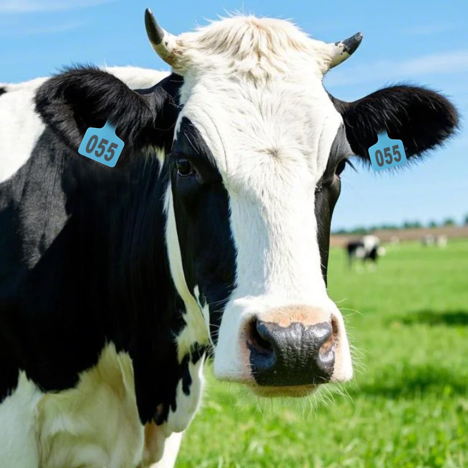 APlayfulBee ear tag applicator for quick, safe tagging of cattle and other livestock