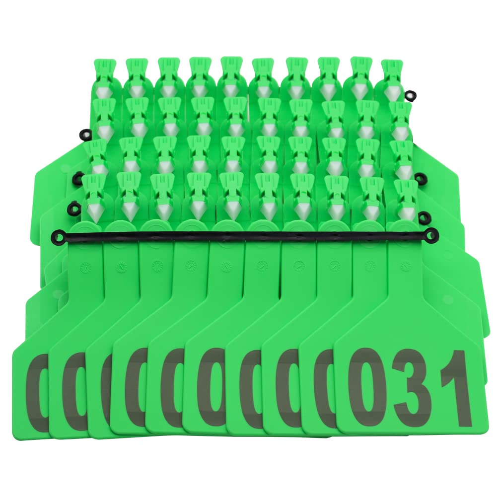APlayfulBee Z Tags close-up of green cattle ear tag, showcasing durable construction.