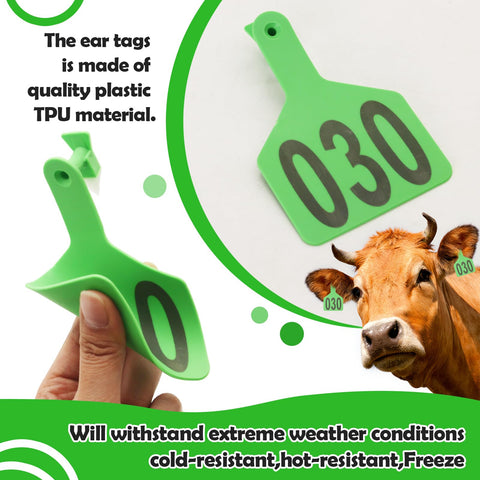 APlayfulBee Z Tags on a hog demonstrates quick, secure identification in the field.